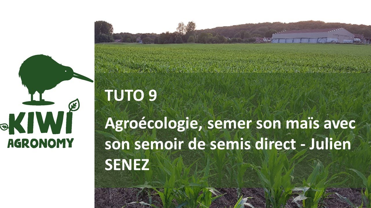 Julien SENEZ : Agroécologie, semer son maïs avec son semoir de semis direct - Partie 1