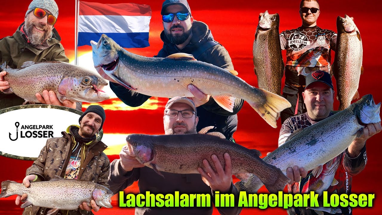 Alarm im Angelpark Losser riesen Lachsforellen & Saiblinge mit Freunden zusammen in Holland