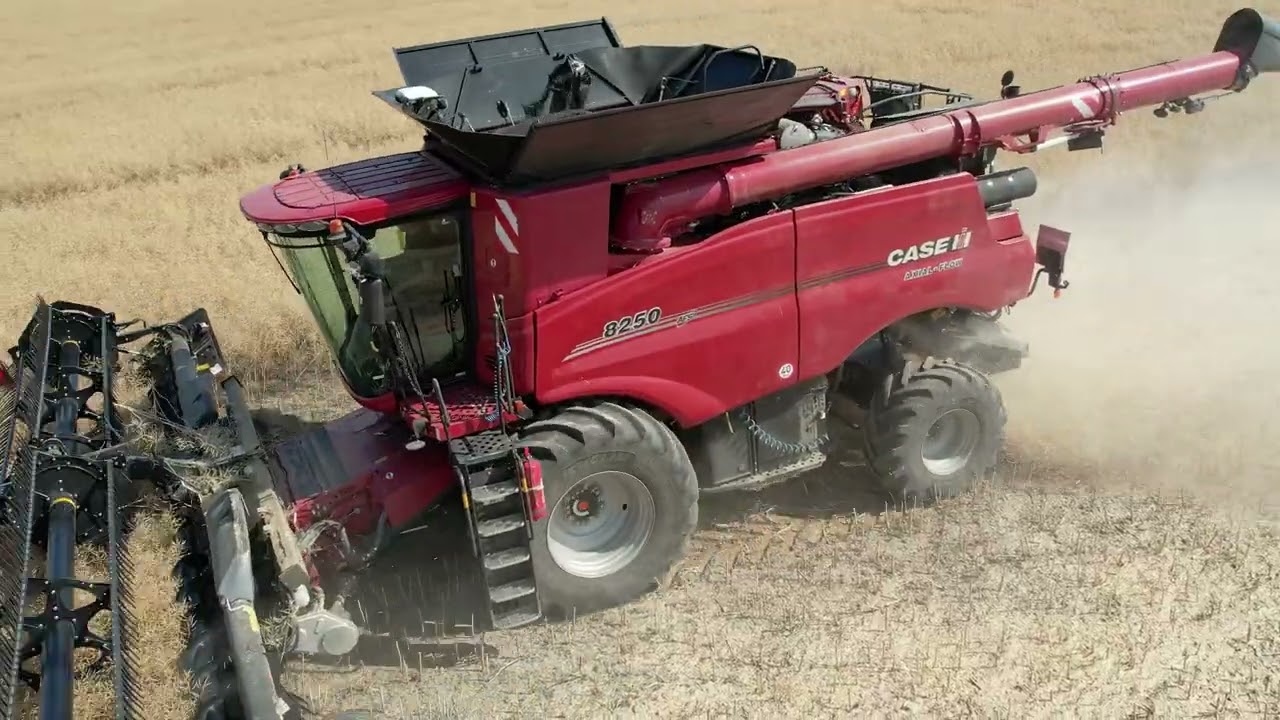 CASE 8250 + MacDon // ORAGRO