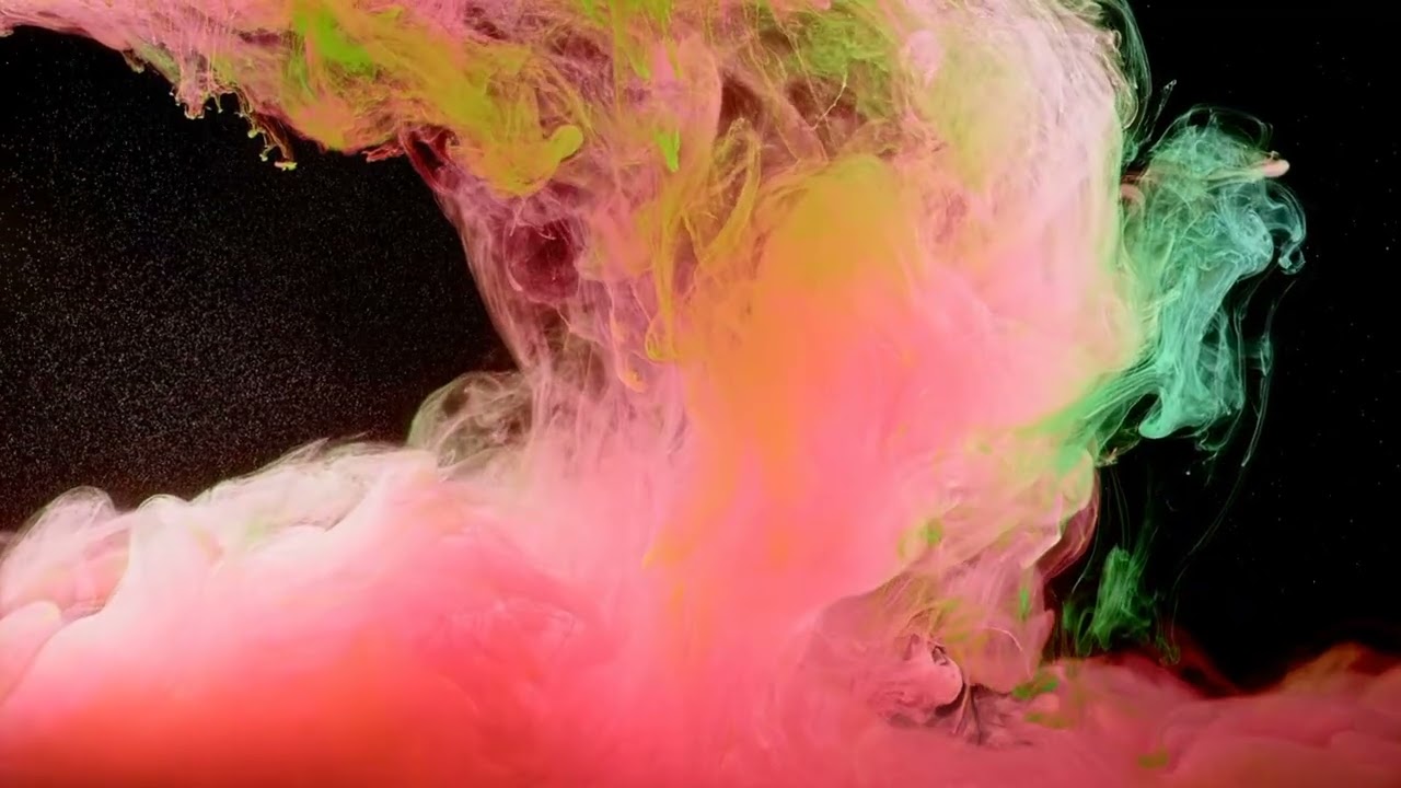 Ho smesso di cercarti