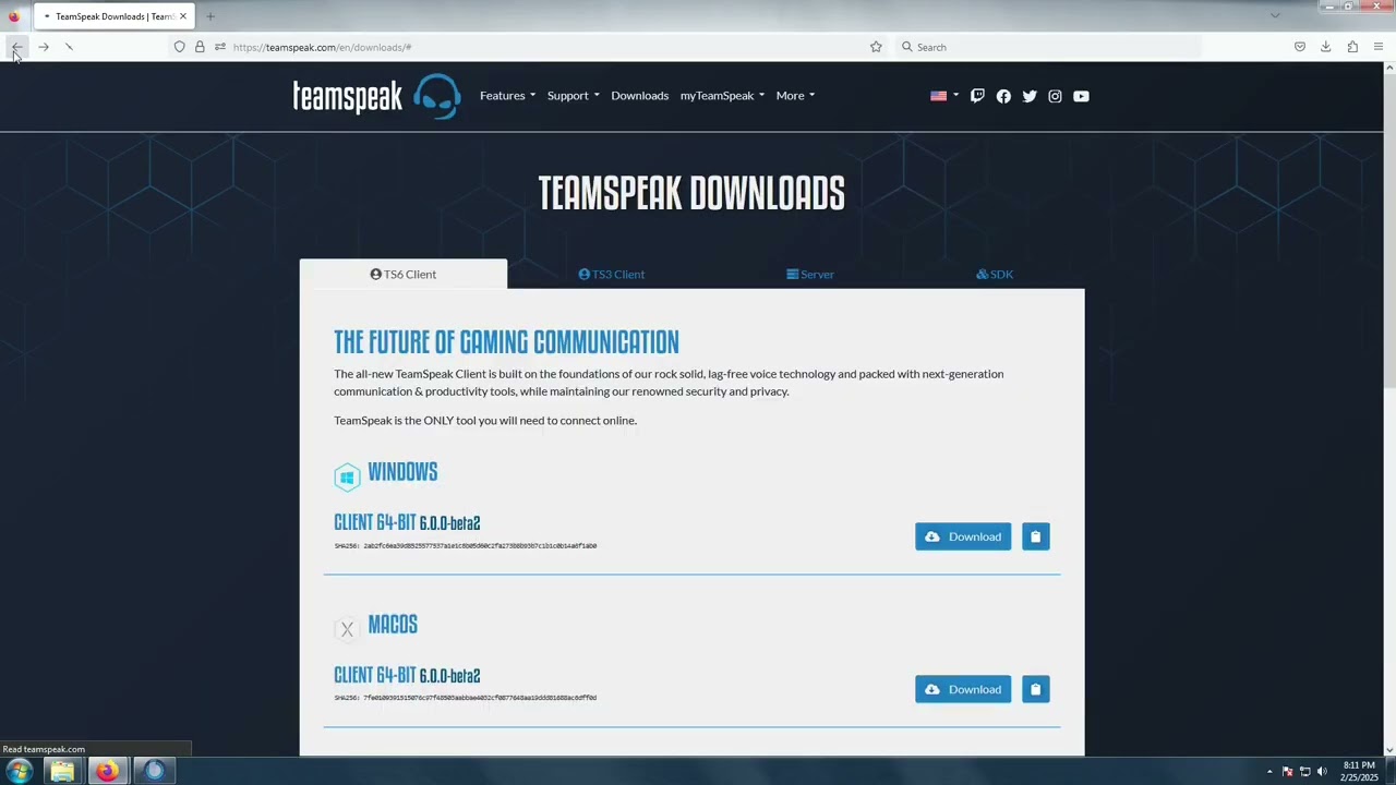 TeamSpeak 3 tutorial