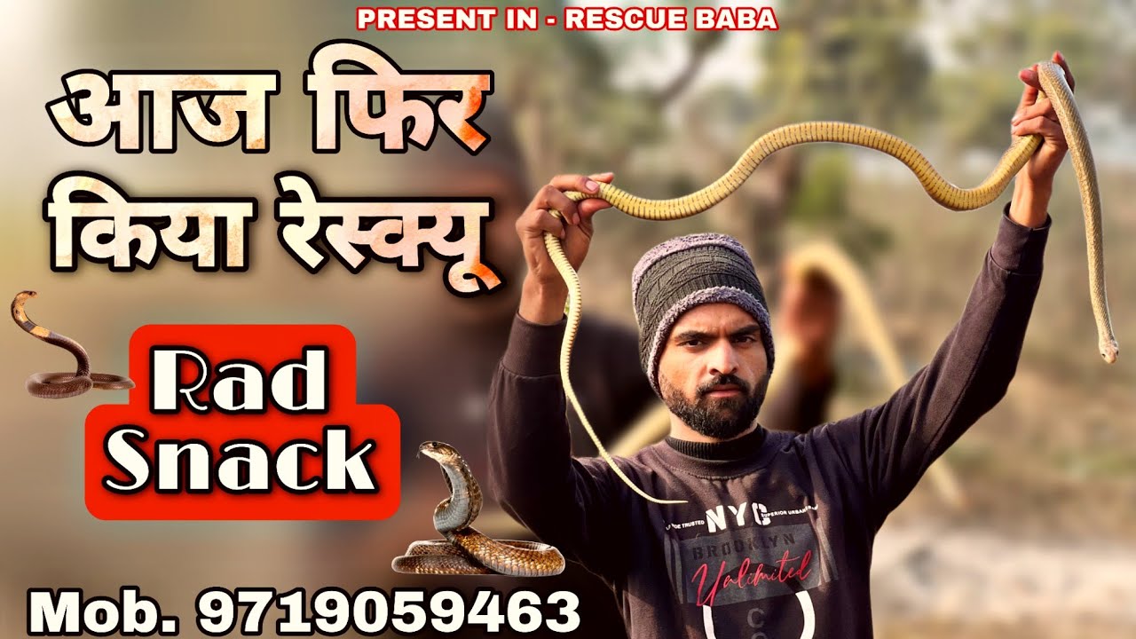 आज फिर किया रेस्क्यु 🐍🐍और छोड़ा उसकी साही जगह पर #rescuebaba#snake #cobra 