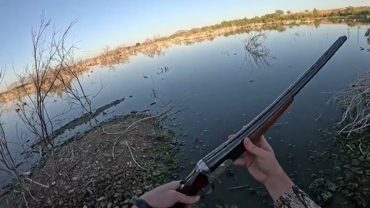 Beretta 16 gauge SXS Duck Duty