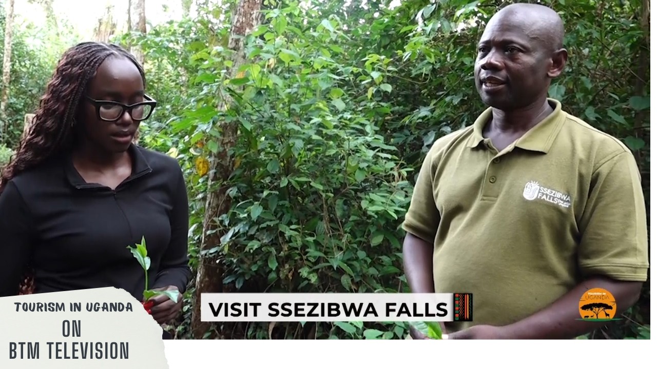 THE TOUR OF SSEZIBWA FALL, SEE UGANDA'S BEAUTY - TOURISM IN UGANDA