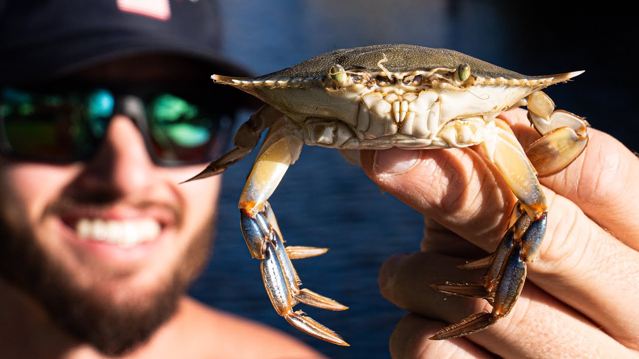 Even The SMARTEST TROPHY Fish Can't Resist This Bait! (Florida Keys Bridge Fishing)