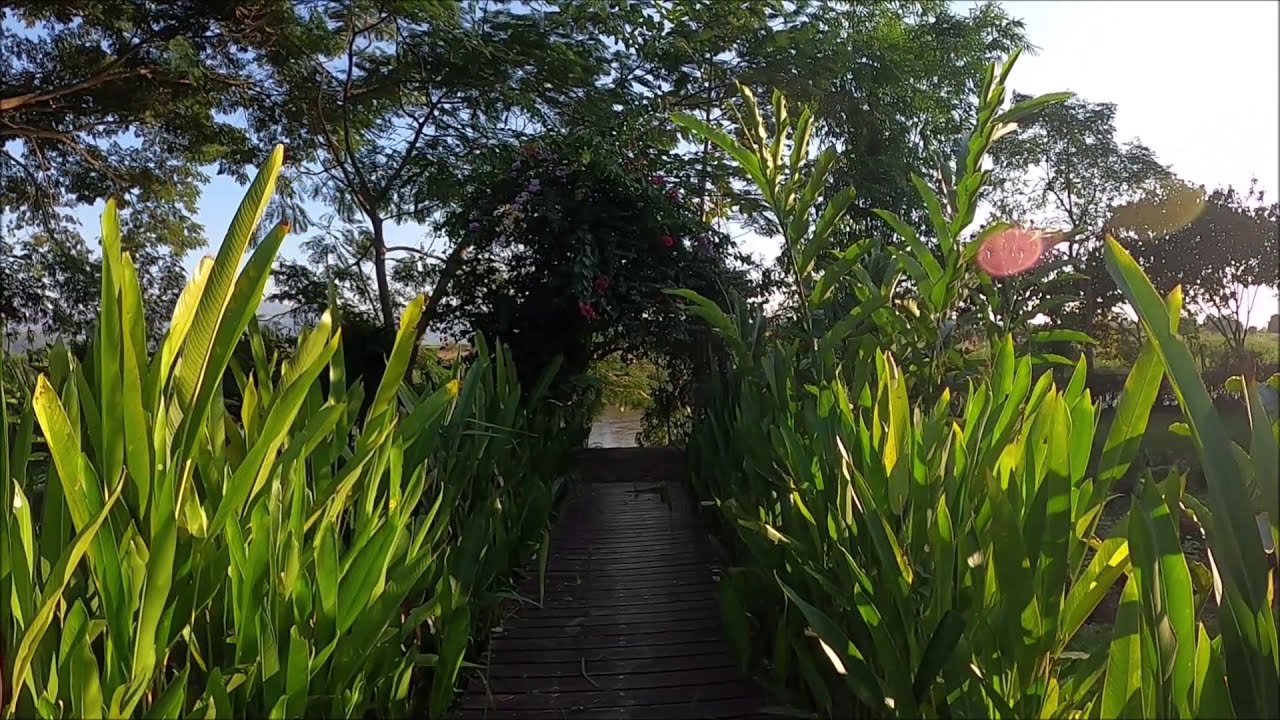 Maekok River Village Resort Walk