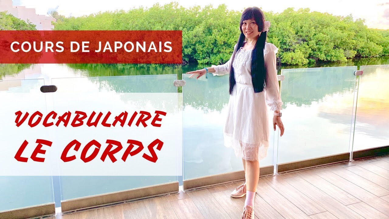 COURS DE JAPONAIS #54 Les parties du corps humain Karada 体 + muscles 筋肉 Vocabulaire de base #8