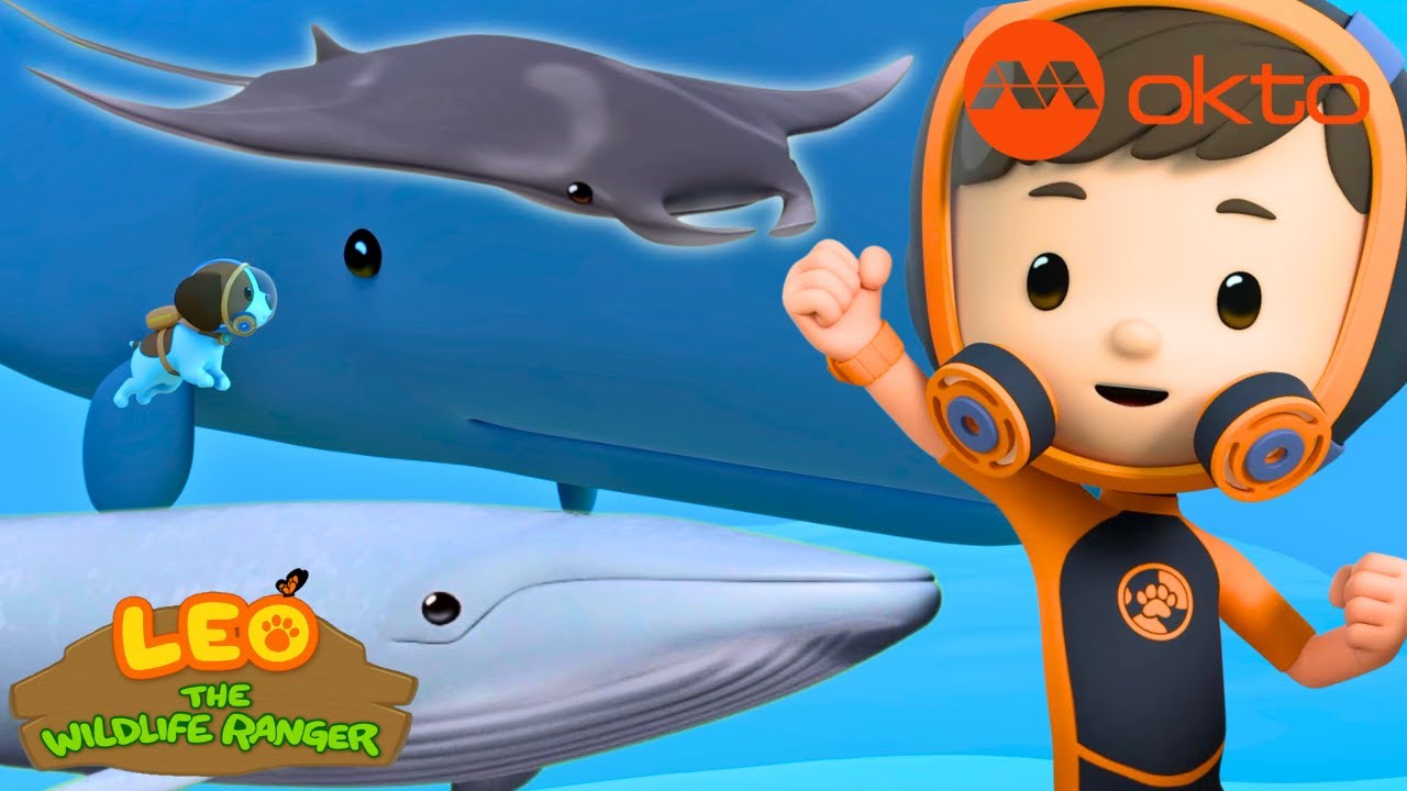 SAVING SPERM WHALE and MANTA RAY 🐋🦈🌊 | Leo Compilation |  @mediacorpokto