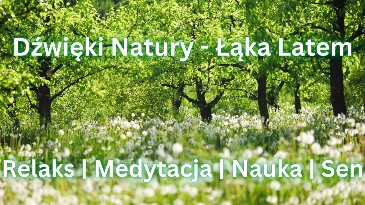 Łąka Latem | Dźwięki Natury | Śpiew Ptak&oacute;w | Szum wiatru | Nauka | Relaks | Medytacja | Sen