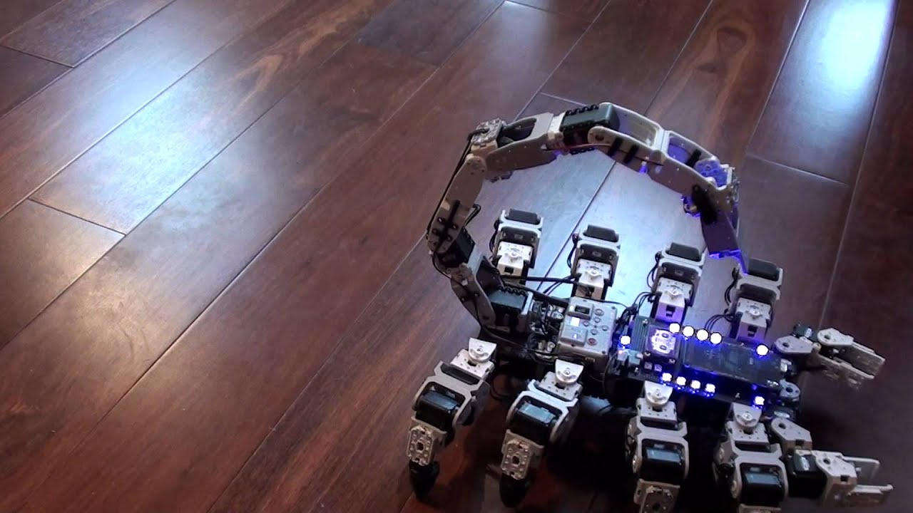 Bioloid Scorpion Robot - first video - Full 8 leg walking, stinger and pincers