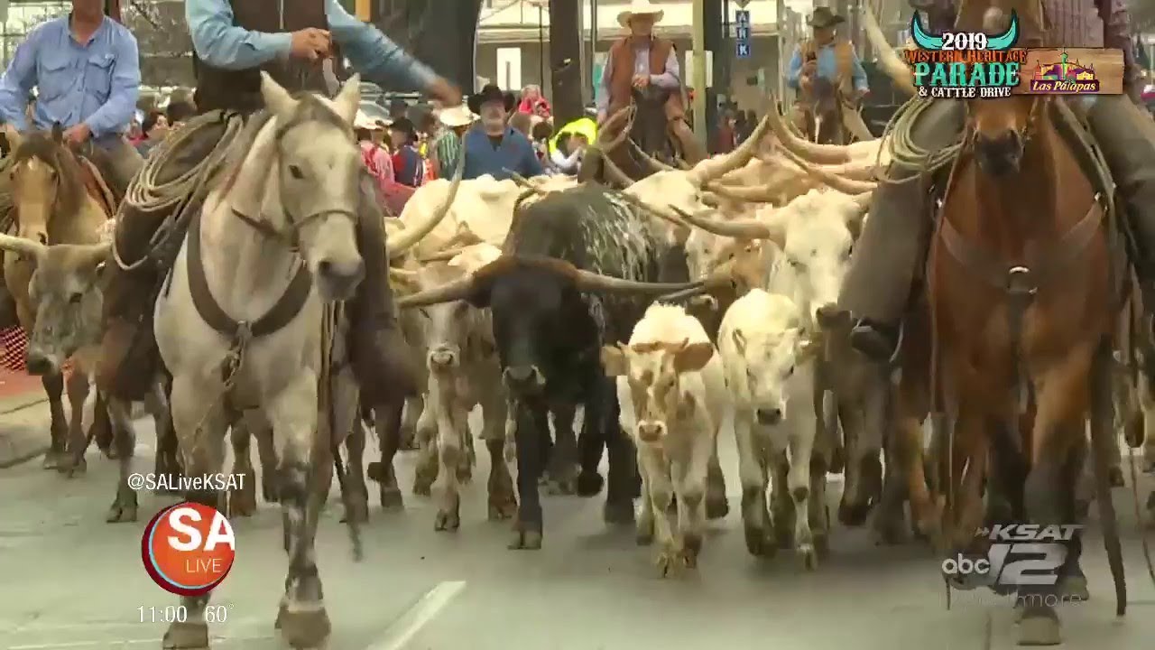 2019 Western Heritage Parade & Cattle Drive | SA Live | KSAT 12