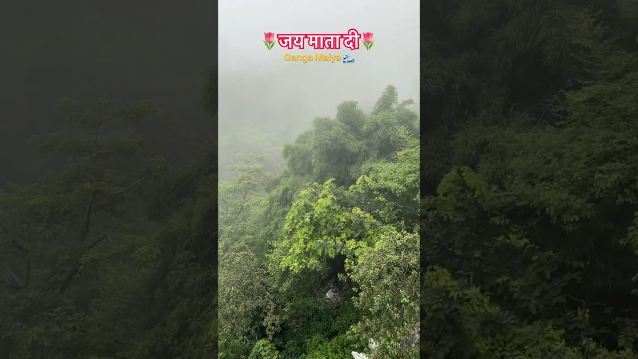 वैष्णो देवी भवन 🌊 #youtubeshorts #travel #maa#vaishnodevi #share #video #subscribe #yt