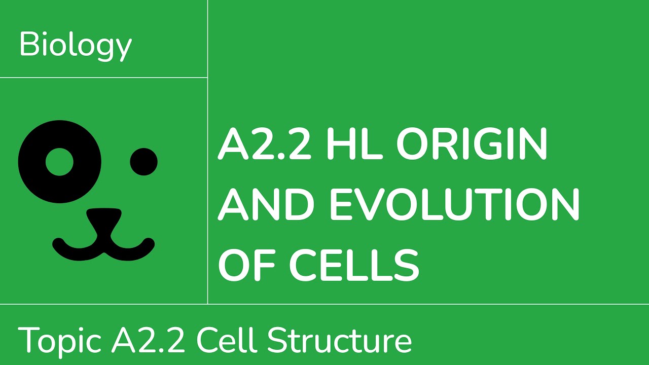 A2.2 HL Origin and Evolution of Cells [IB Biology HL]