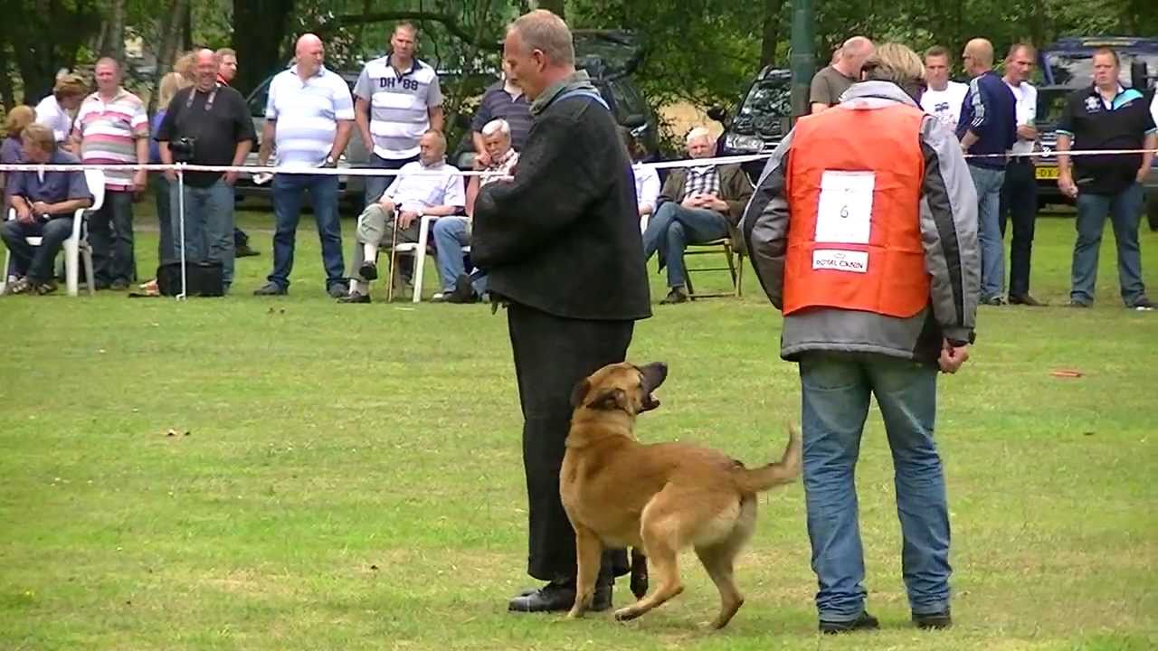 KNPV Zomerkeuring  vrijdag 8 Juli bij HDV Glanerbrug stokaanval + schot en werp
