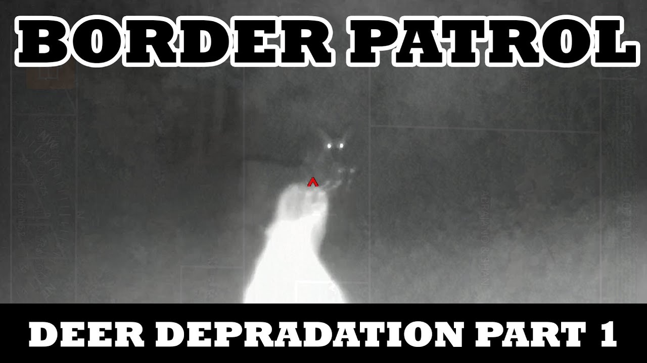 Border Patrol - Deer Depradation Part 1 with Perceptive Outdoors