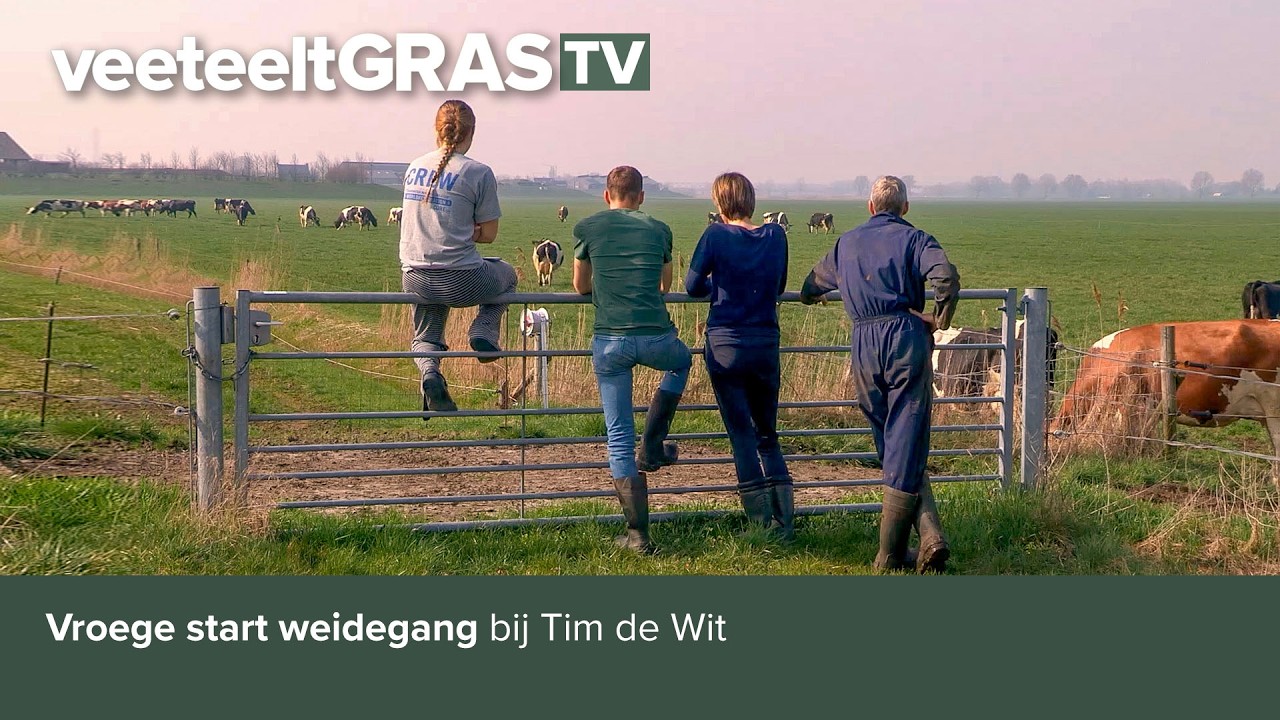 Vroege start weidegang bij Tim de Wit