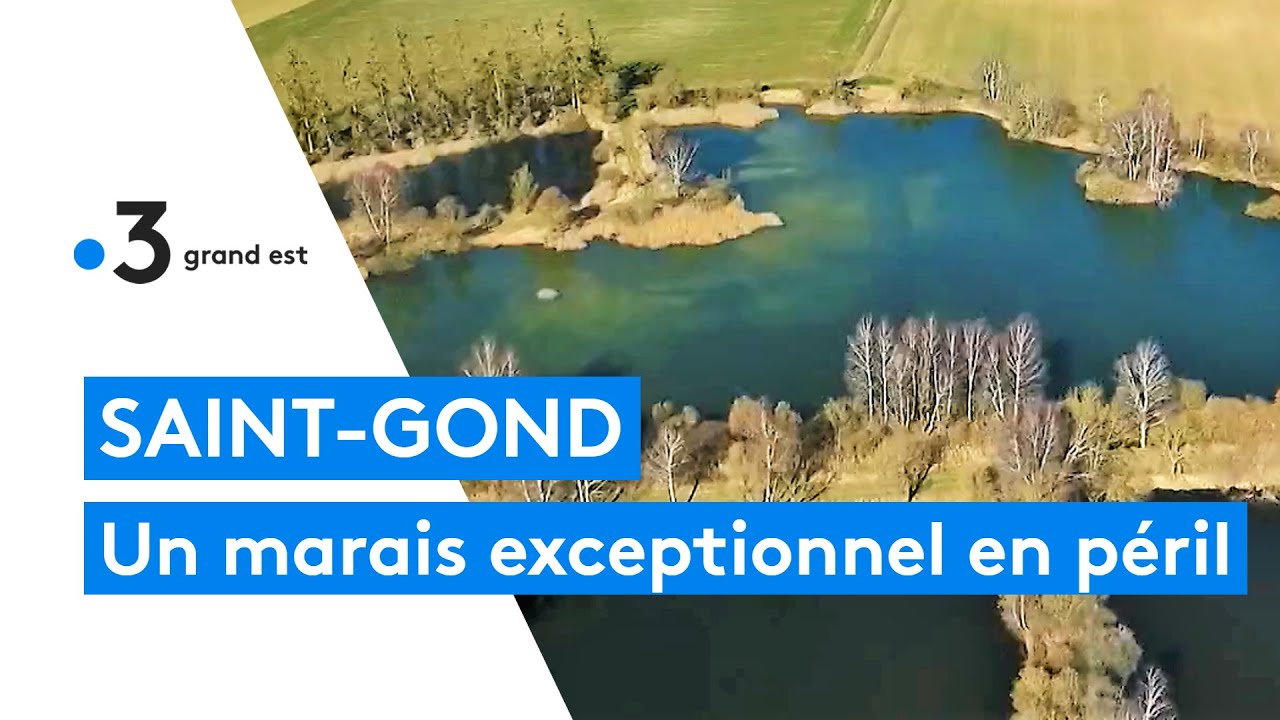 Ce marais unique en Europe, se dégrade irréversiblement et risque de disparaitre