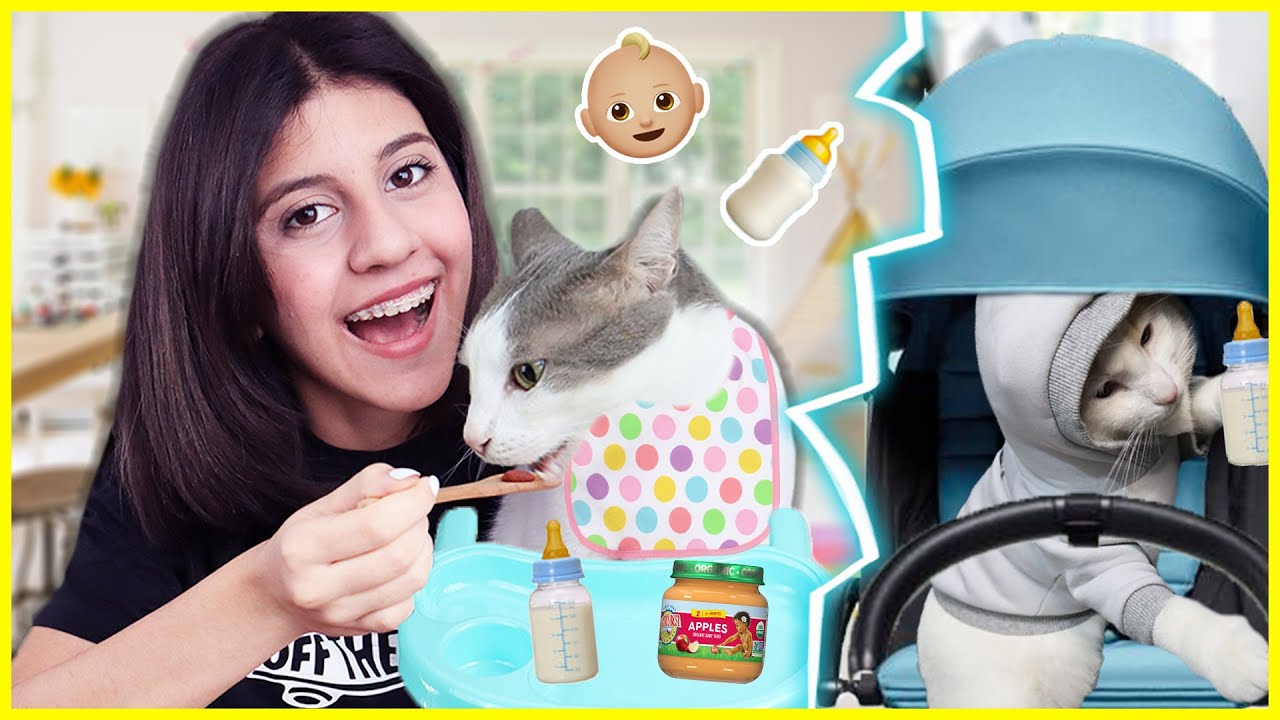 KEDİLERİME BİR GÜN BOYUNCA BEBEK GİBİ DAVRANDIM YAĞMUR KAYA