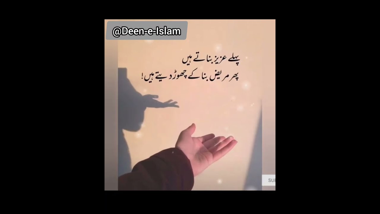 Aqwal e zareen new🌹💕🌹|Aqwal e zareen in Urdu|Urdu quotes|Urdu Islamic quotes|best Urdu Quotes