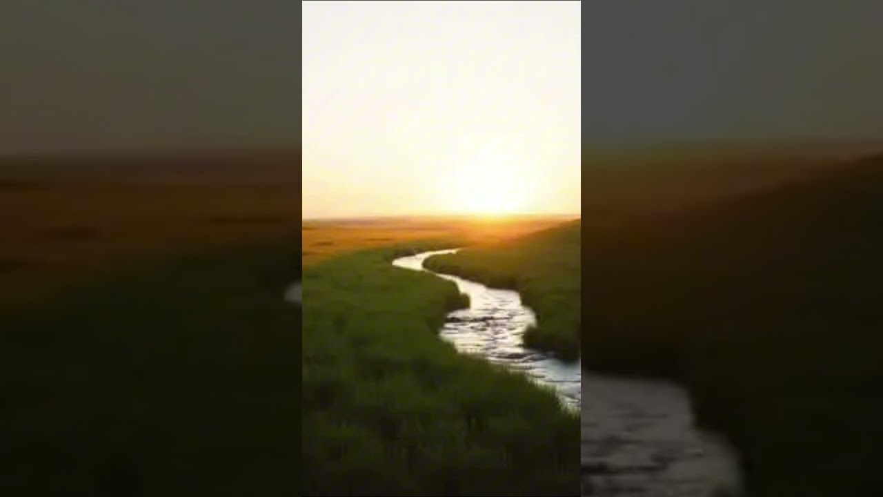 Nature's Embrace 2