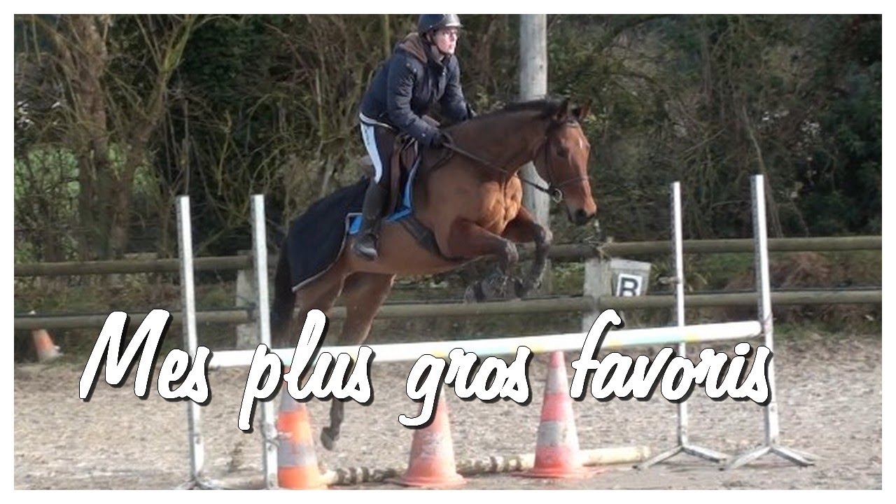 Mon matériel équestre indispensable !