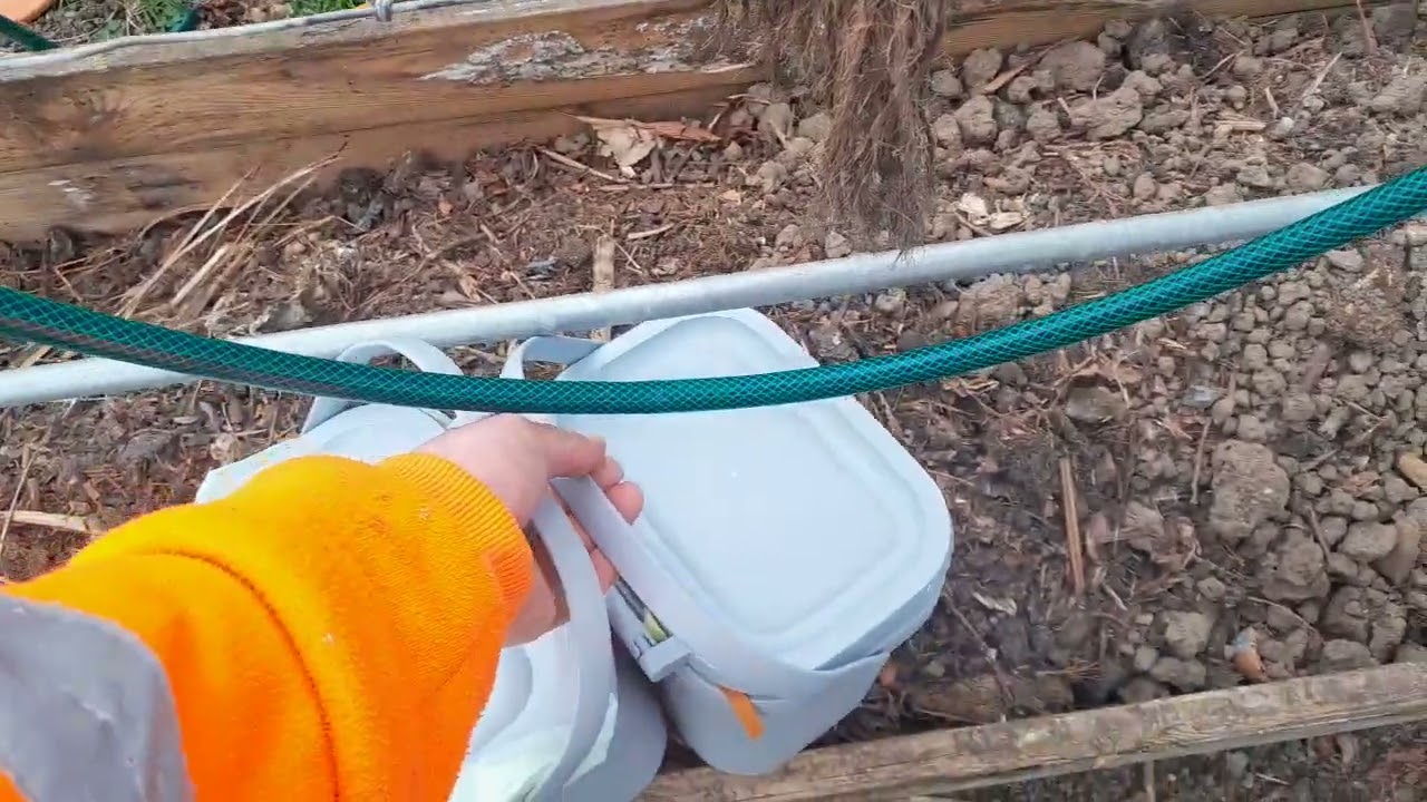 March garden tour