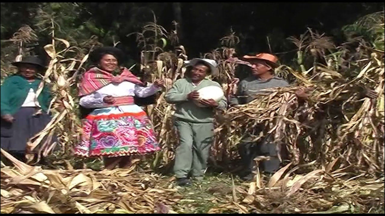 CAMPESINA DE VIQUES - HAYDEE VALENZUELA CANO Huerfanita soy - Santiago (Álbum 2004)