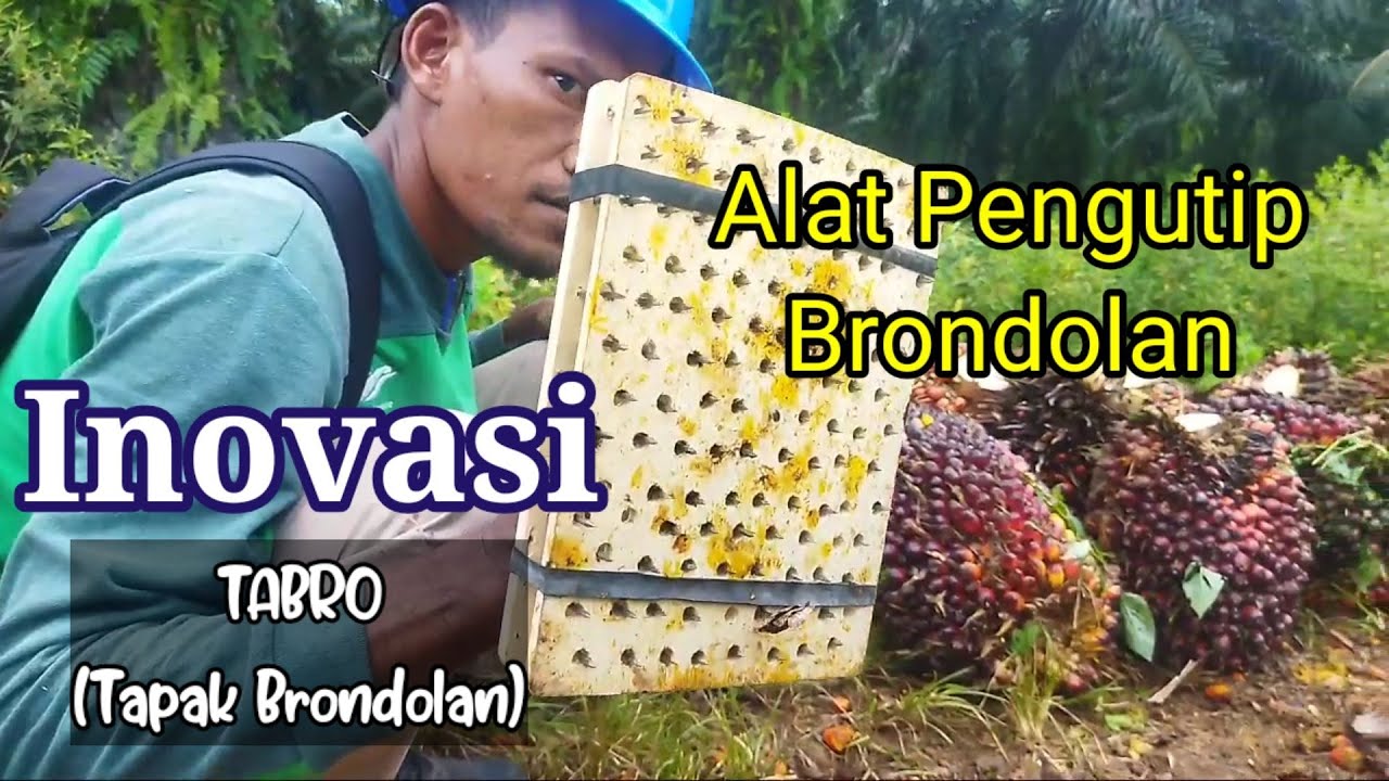 Inovasi Alat Pengutip Brondolan TABRO (Tapak Brondolan)