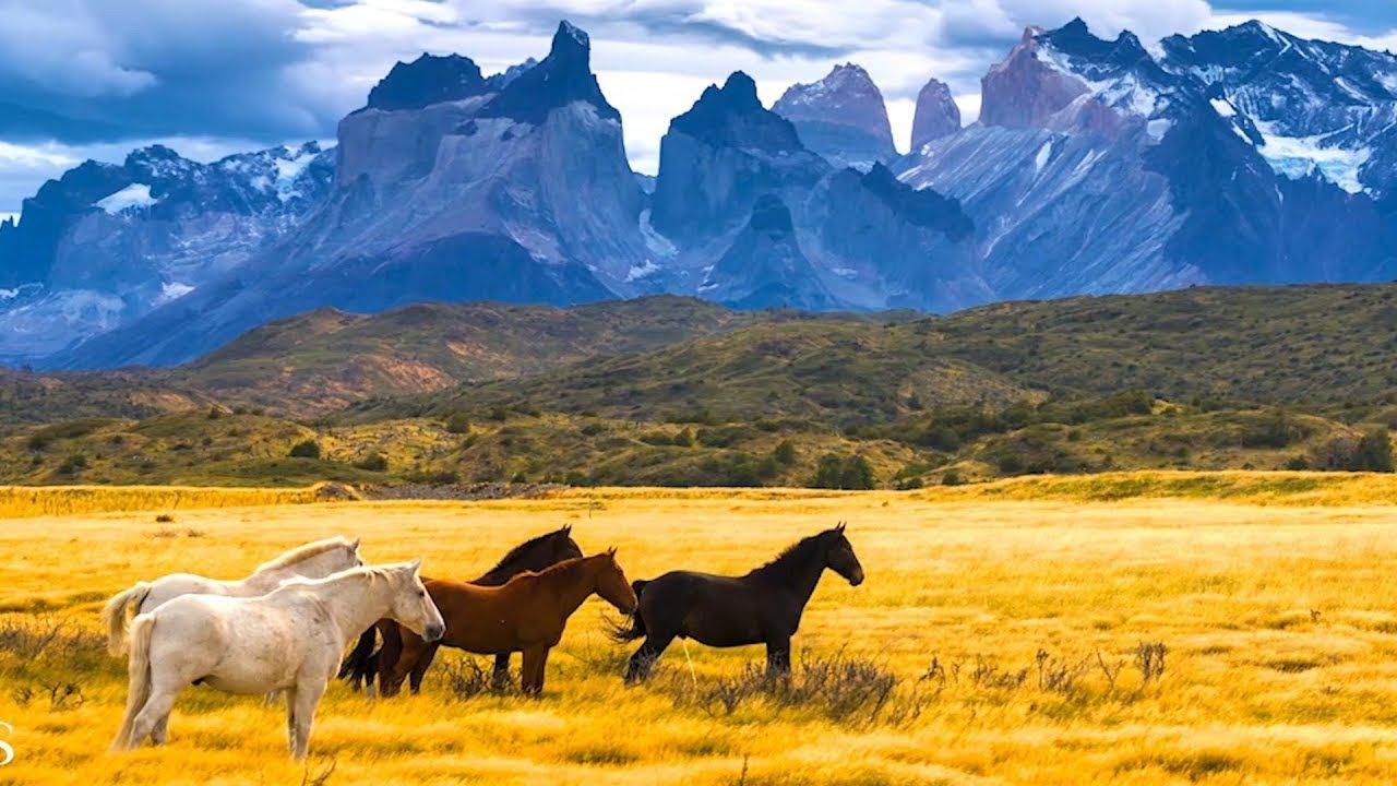 Relaxing Celtic Music: Fantasy Music, Beautiful Music, Relaxing 