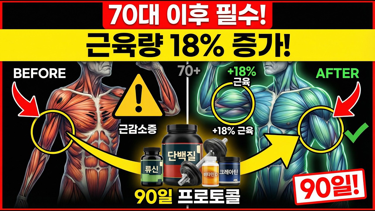 근감소증 역전! 90일 프로토콜로 근육량 18% 증가 (70대 이후)