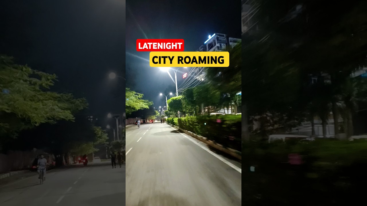 Latenight City Roaming