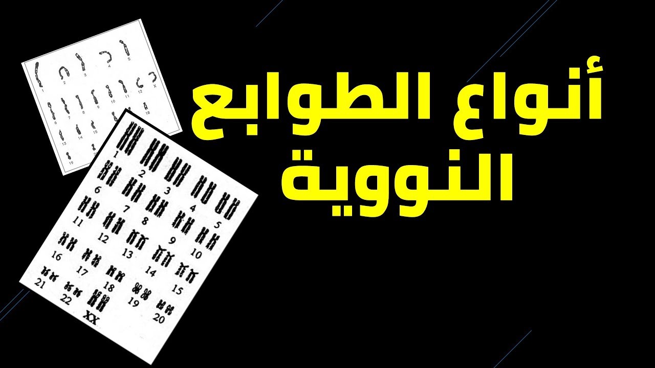 الفرق بين الخلية الجسمية و الخلية الجنسية