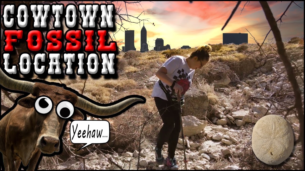 We tell you EXACTLY Where To Find Fossils In Fort Worth, TX - Play The GAME To Find Out! 😱 🦕