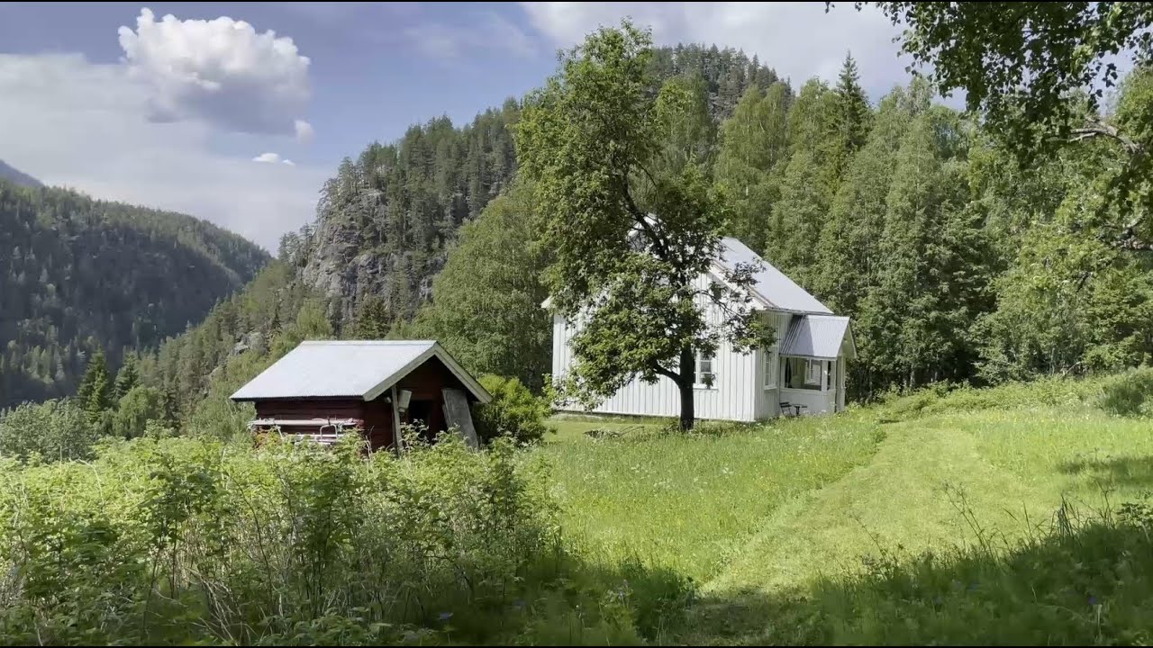 My off grid cabin in the woods of Norway