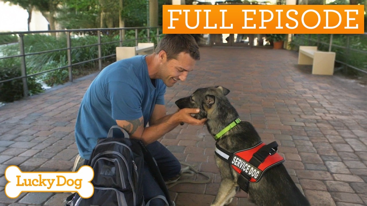 Alzheimer's Patient's Incredible Rescue Dog Guiding Her Home | Full Episode S5 E25