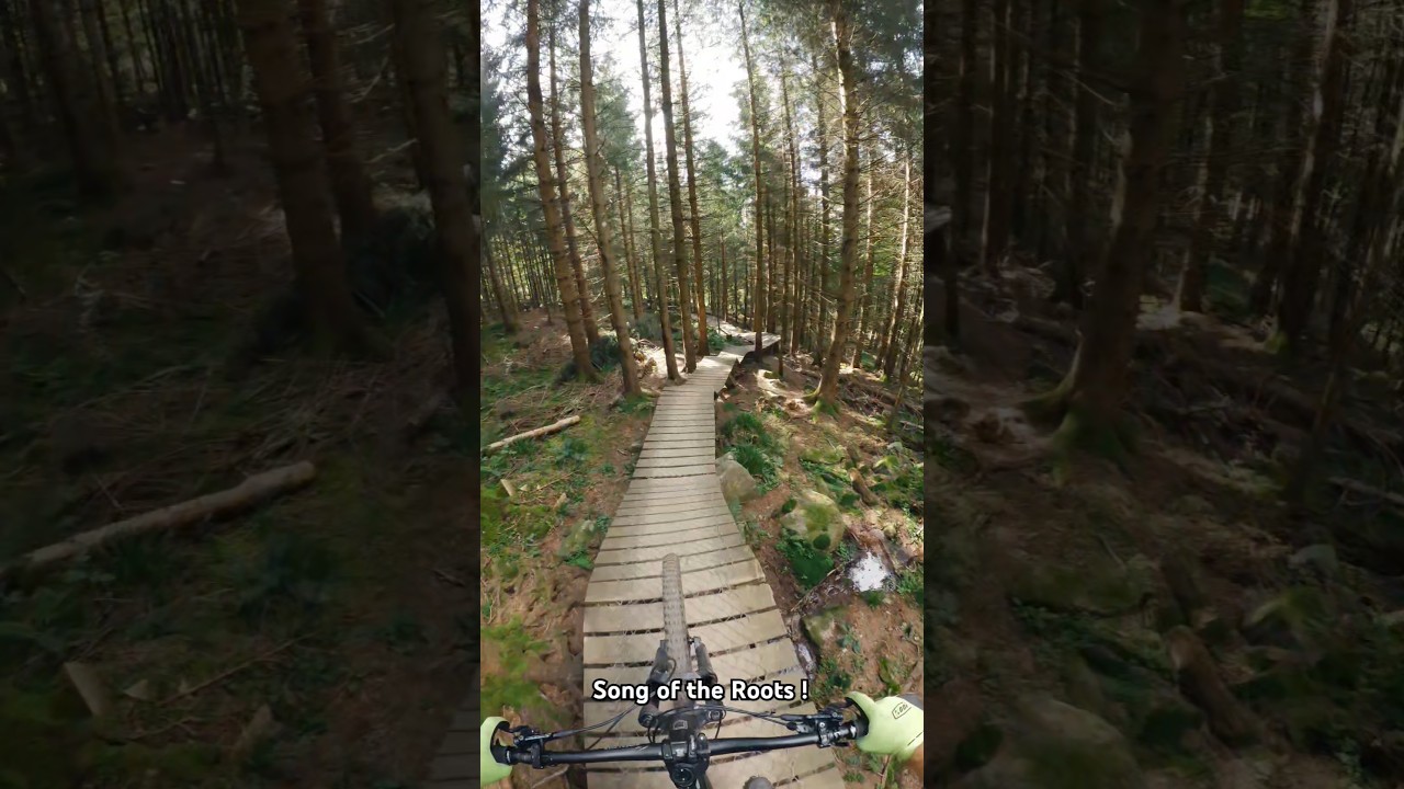 MTB : Song of the Roots 🎶 #lacblancbikepark #vtt #mtb #enduro #vttdescente #vttpassion #vttdh