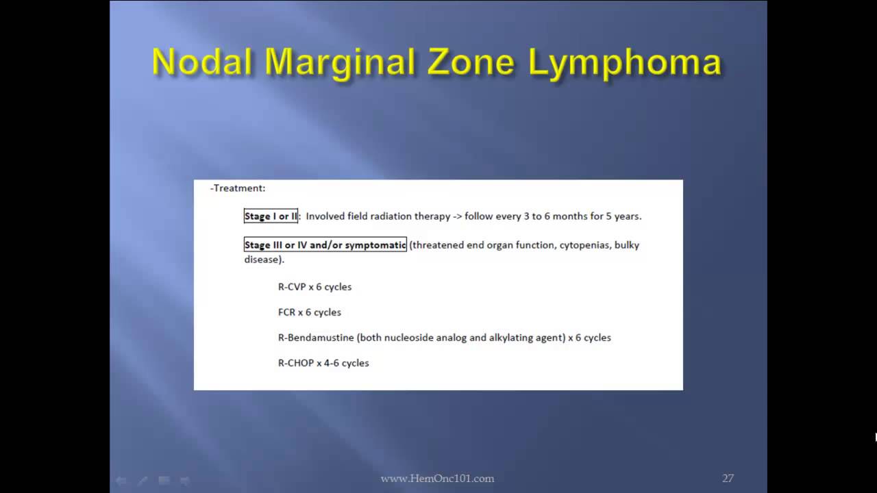 Nonhodgkin Lymphomas | Dr. Tony Talebi lectures on NonHodgkin Lymphomas