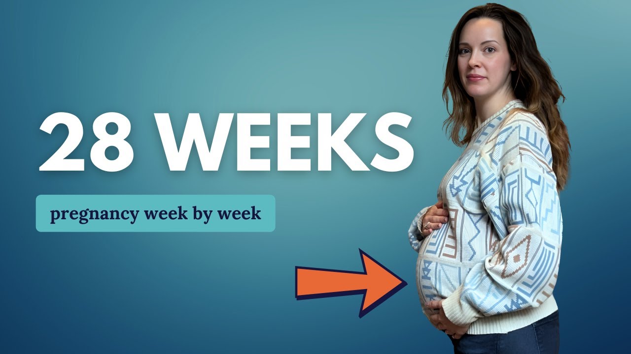 28 Weeks Pregnant 🤰 What to Expect: Changes for You & Baby Movement and Development
