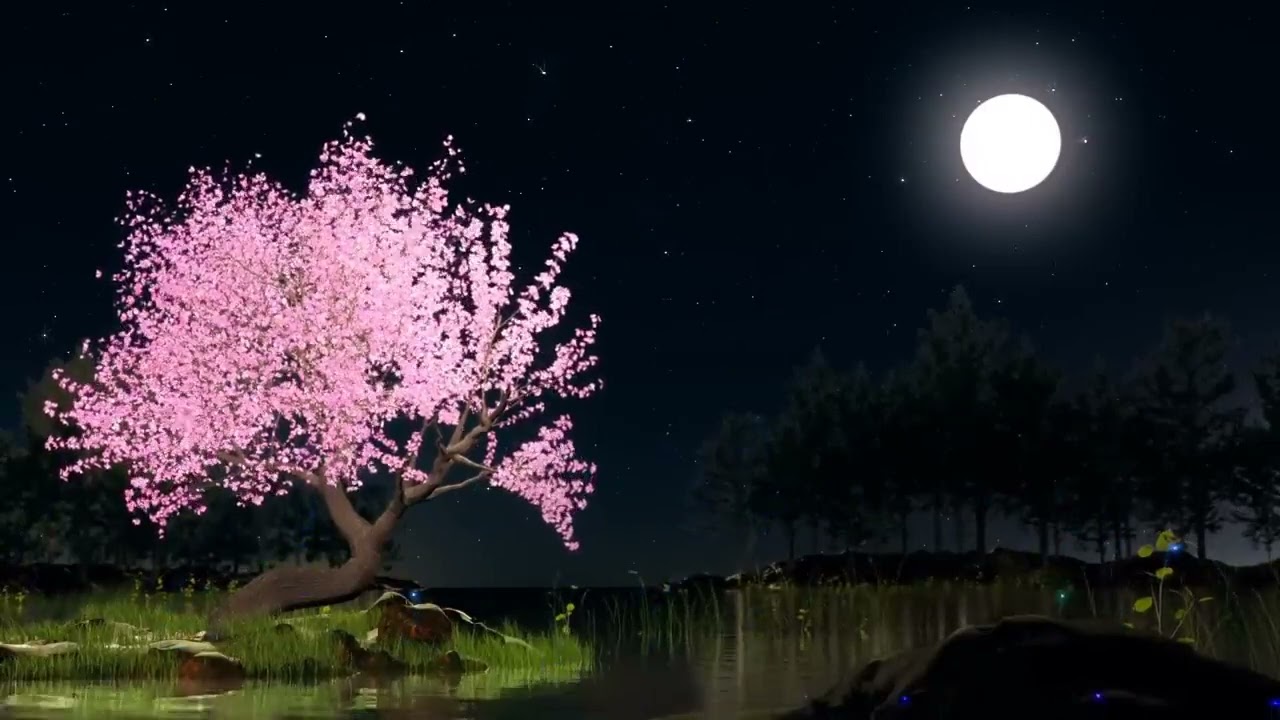 NEW 芒種 - Douyin Divine Comedy