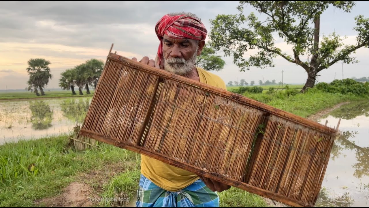 Rainy Season Traditional Fishing | farm fresh lady finger with small fish curry recipe | tribe food