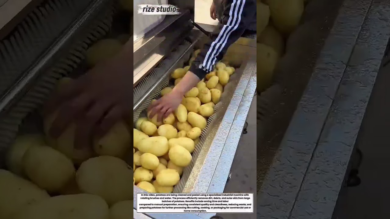 Potato Washing & Peeling Machine &ndash; Food Processing in Action!