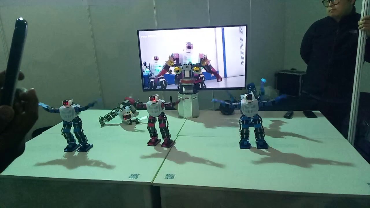 Robot dance in IIT techfest 2018