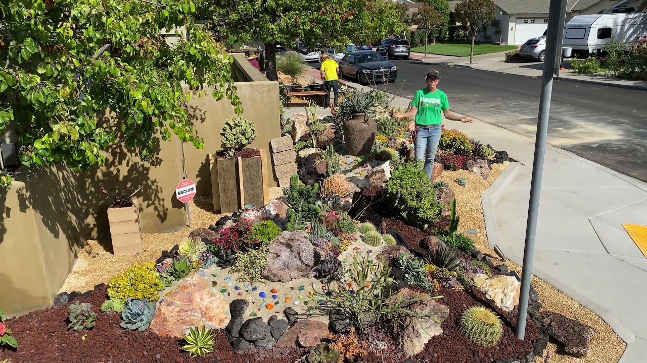 Succulent Coral Reef Garden Installation Grand Reveal