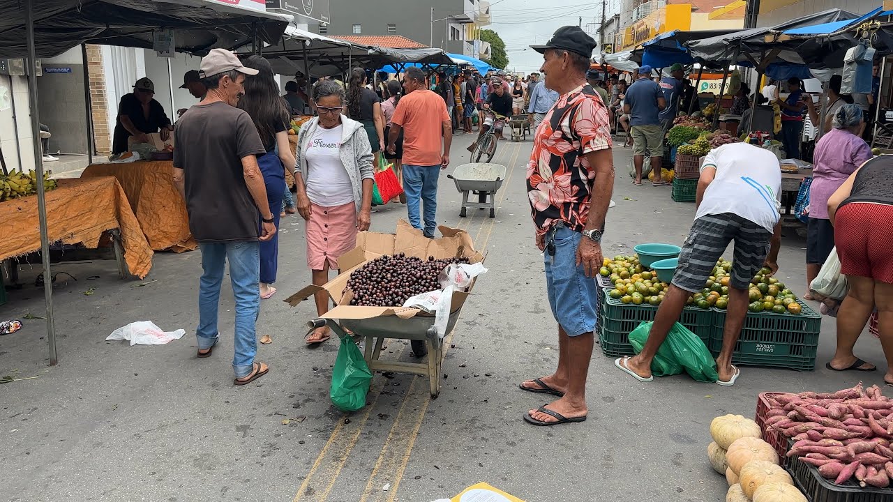 Fatura de jabuticaba e abacaxi na feira de Araruna pb