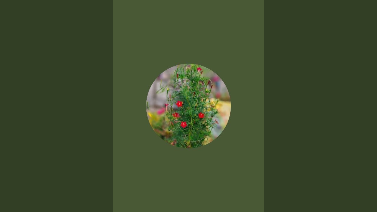 Sabana gardener is live