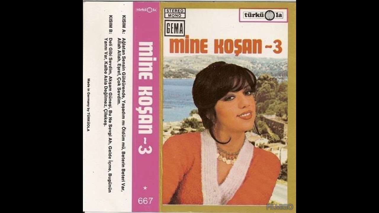 Çok Sevdim-Mine Koşan (Mine Koşan-3 Albümü Türküola)