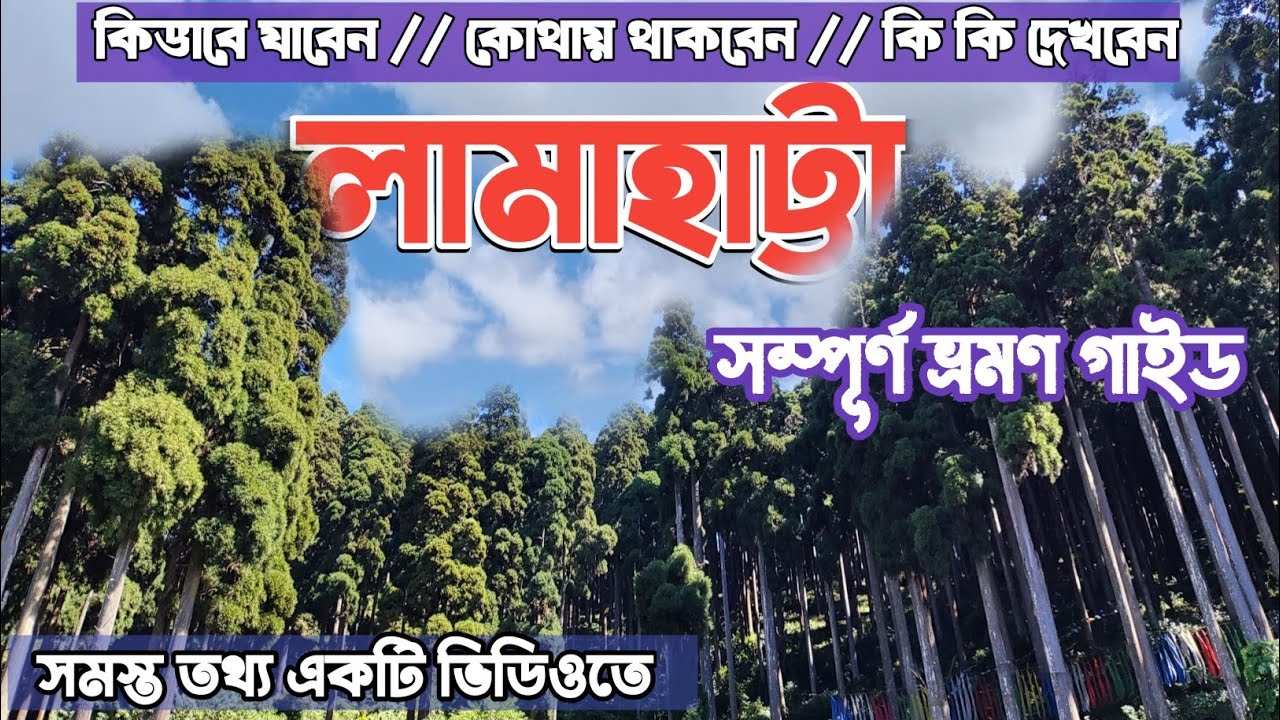 Lamahatta Tour Guide | Darjeeling Offbeat tour | Lamahatta Travel Guide | Lamahatta