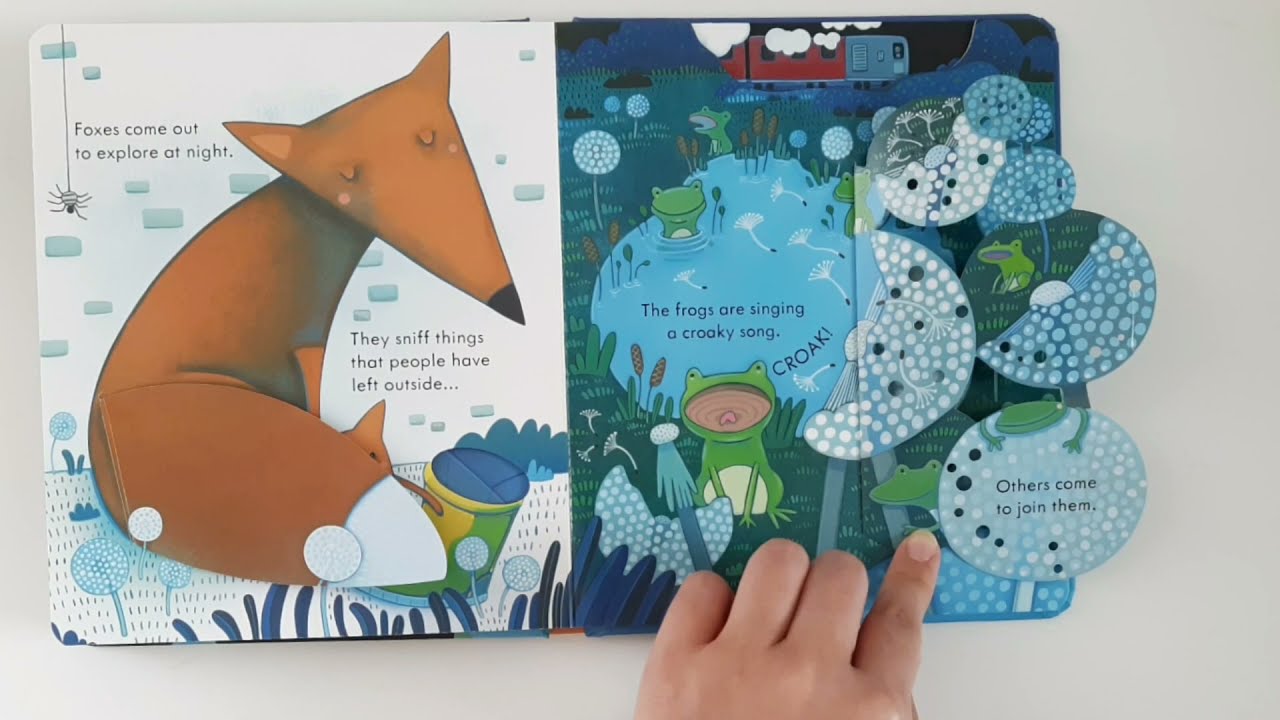 USBORNE: PEEP INSIDE NIGHT TIME | BUKU: MENGINTIP WAKTU MALAM HARI (SUBTITLE BAHASA INDONESIA)