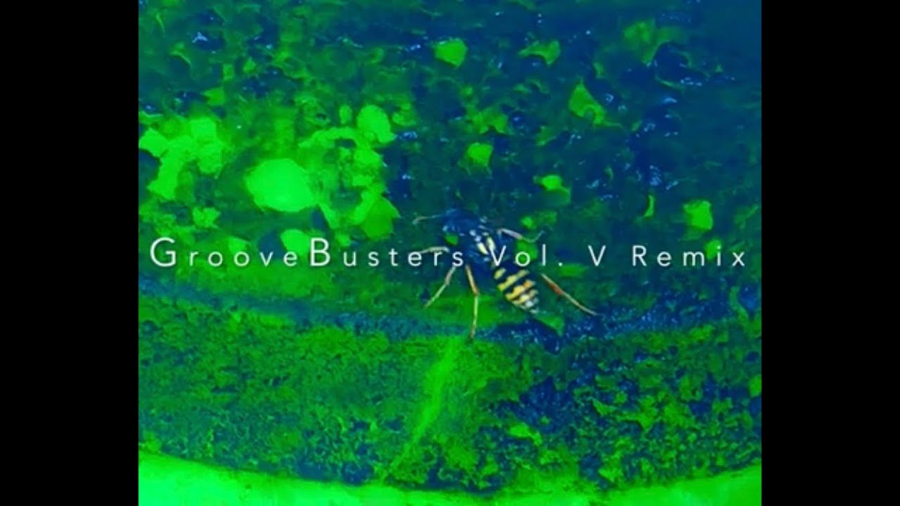 Ferry Grott // Groovebusters Vol. V Remix 2020