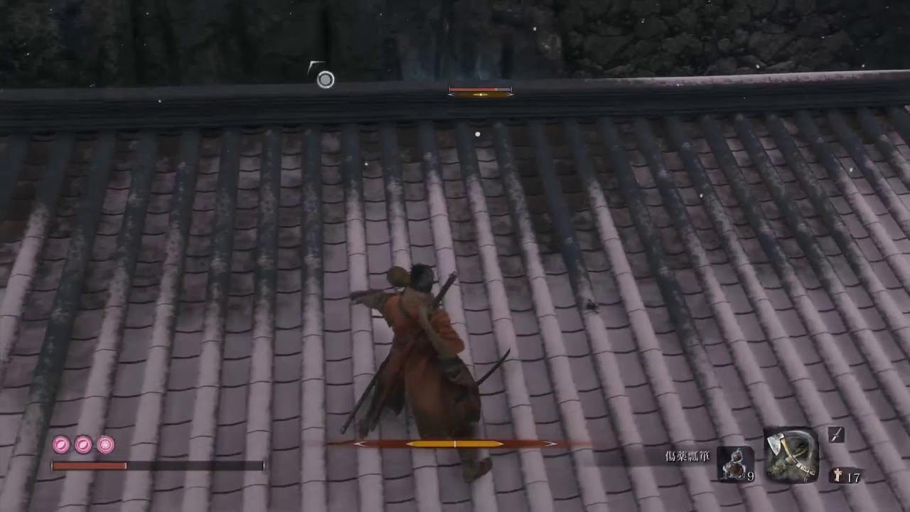 【ビーキョウの戯れ】SEKIRO 子犬さん